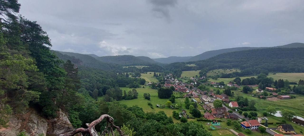 Bed and Breakfast Au Wachtfels Obersteinbach Zewnętrze zdjęcie