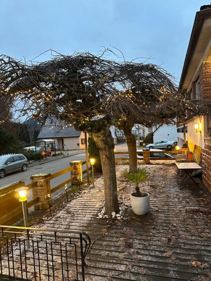 Bed and Breakfast Au Wachtfels Obersteinbach Zewnętrze zdjęcie
